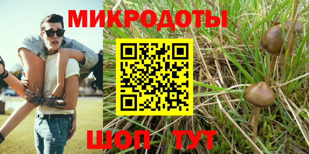 Галлюциногенные грибы Psilocybe  Вход с VPN  Ростов Великий 